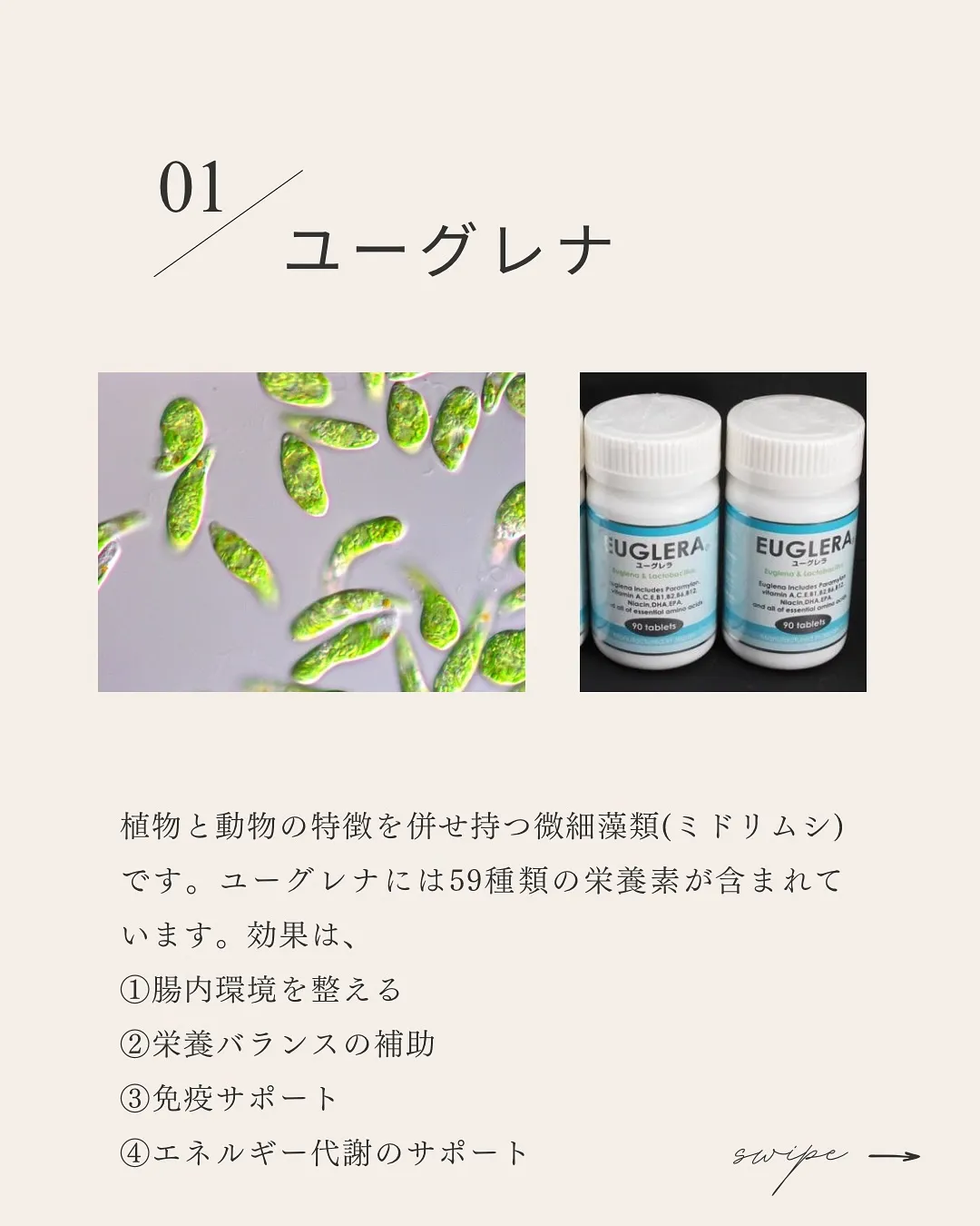 一宮市パーソナルトレーナーオススメ｜冬に摂りたい栄養3選